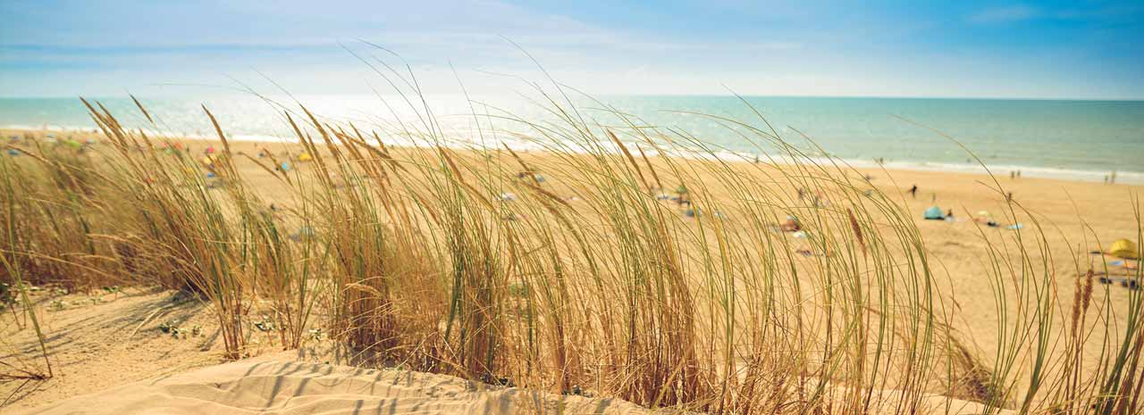 bckg-beach-1280x465.jpg